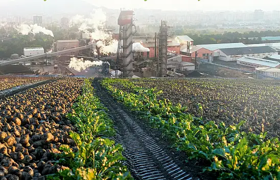 Kayseri Pancar Kooperatifi seçimli genel kurula gidiyor! Gündem belli oldu! 2027 yılı ayrıntısı