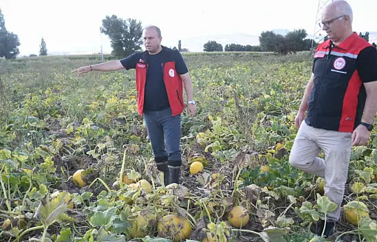 Kayseri 'Sarı Altın'da Türkiye'de 1. sırada