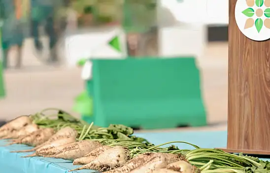 Kayseri Şeker pancar alım fiyatı ile ilgili beklenen açıklamayı yaptı!