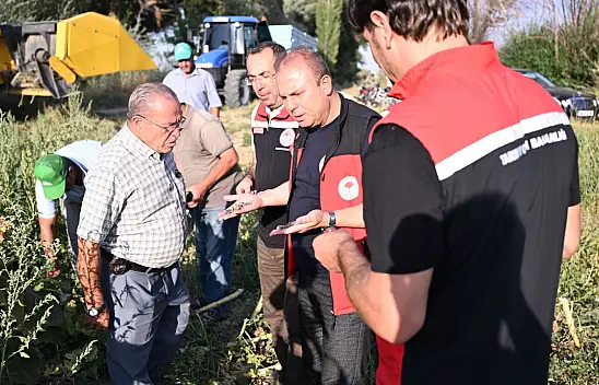 Kayseri üretimde Türkiye ikincisi: Kayserililer severek tüketiyor, hasadı başladı