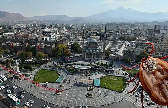 Kayseri ve çevresinde kene alarmı! En riskli alanlar belli oldu