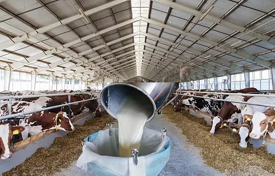 Kayseri'ye 270 milyon müjdesi