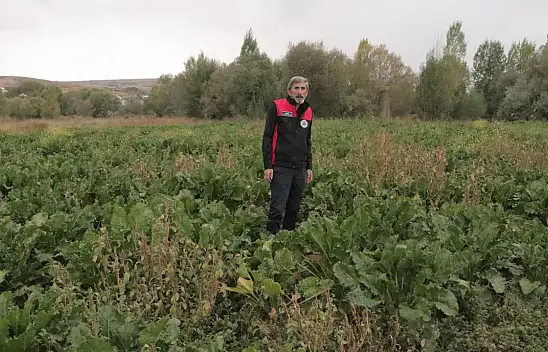 Kayseri'ye de gönderiliyor: Hedef 1 milyon tondu