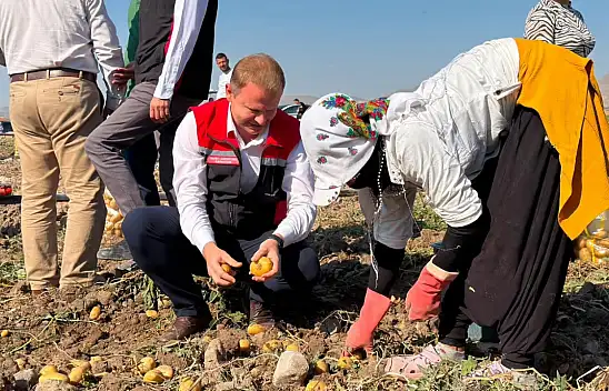 Kayseri Yeşilhisar'da üretiliyor, Katar'a, Suudi Arabistan'a gönderiliyor