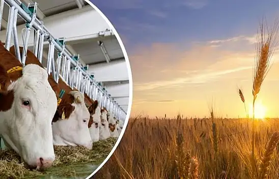 Kayserili çiftçiler dikkat! 20 milyon 921 bin tl hesaplarınızda