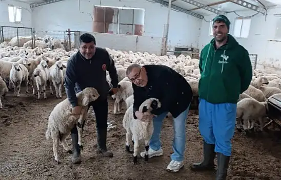 Kayserili iş adamının yatırımı ilk meyvesini verdi!