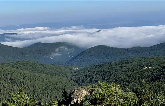 Kayserili madenci, Türkmen Dağı davasını kazandı!