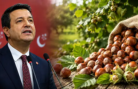Kayserili Genel Başkan fındık fiyatlarını eleştirdi