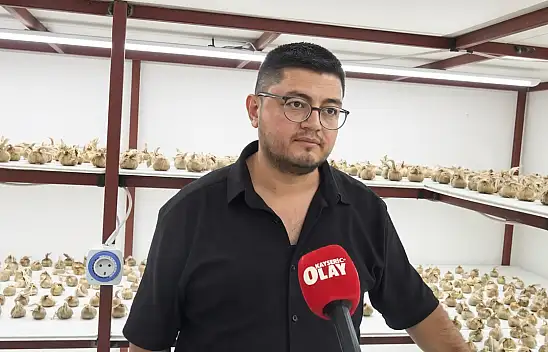 Kayserili üretici altın değerindeki bitkinin faydalarına değindi!
