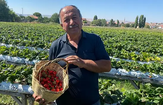 Kayserili üretici çileğin sırrını anlattı: En çok buna dikkat edin
