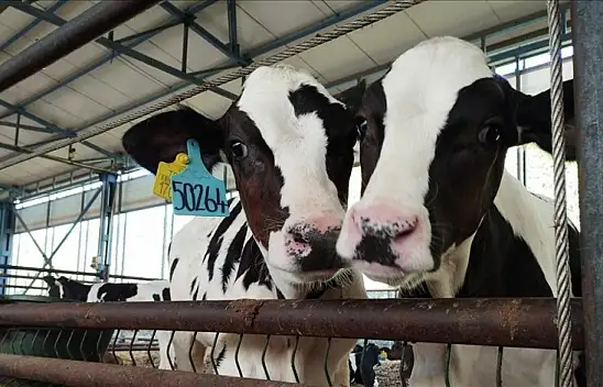 Kayserili üreticilere müjde! Destek artışı geldi