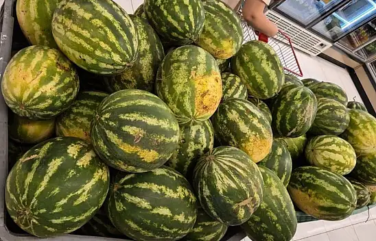 Kayserili vatandaşlar yapay zekaya karpuz seçtiriyor! İşte püf noktası…