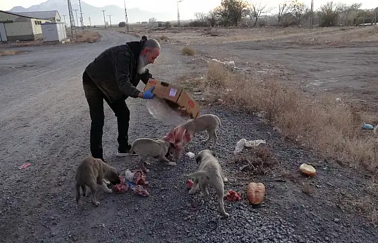 Kete ve simitle 8 mahallenin hayvanlarını besliyor