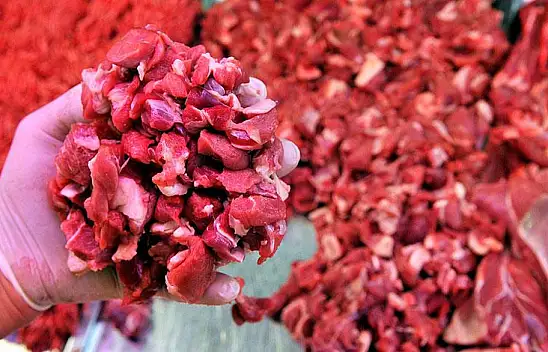 Kırmızı ette haftalık rapor: Dana ve kuzu kesimde son durum