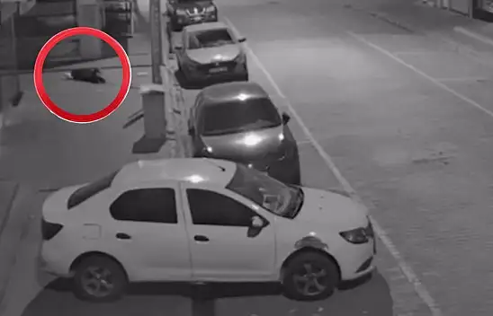 Kız meselesi yüzünden işlenen cinayette dikkat çeken detay