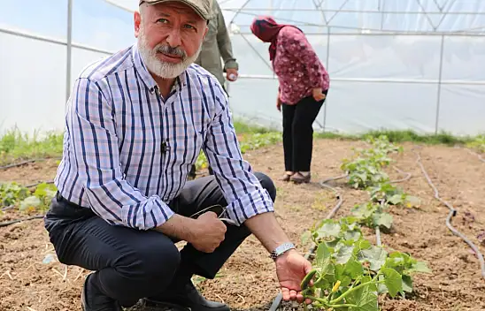 Kocasinan'a 60 bin sebze ekildi!