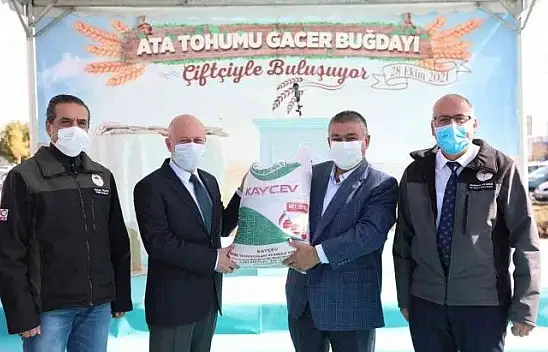 Kocasinan Belediyesi, çiftçilere ata tohumu gacer buğdayını dağıttı