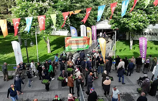 Kocasinan'dan müjde: Ücretsiz domates fidesi dağıtım tarihi netleşti