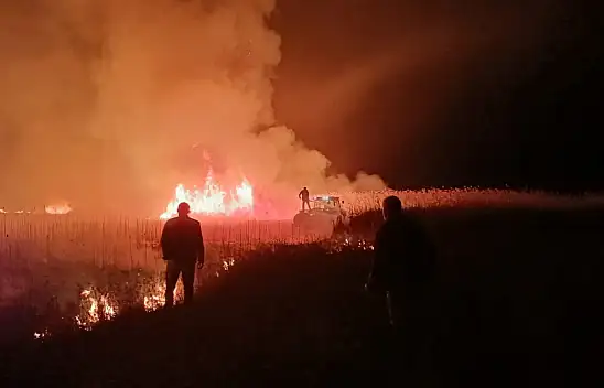Kuş cennetinde yangın!