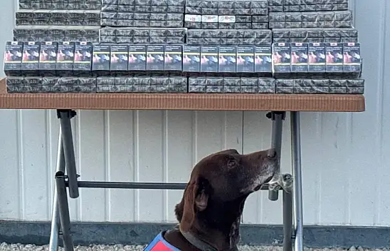 Mardin'den Kayseri'ye gelen TIR'da  binlerce paket ele geçirildi