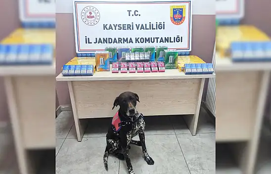 Malatya yolunda dedektör köpekler bakın ne yakalattı!