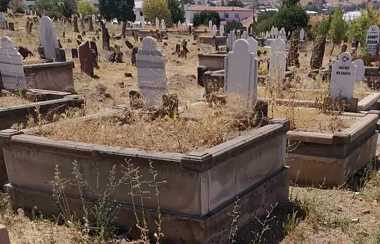 Mezarlıkta tepki toplayan görüntüler
