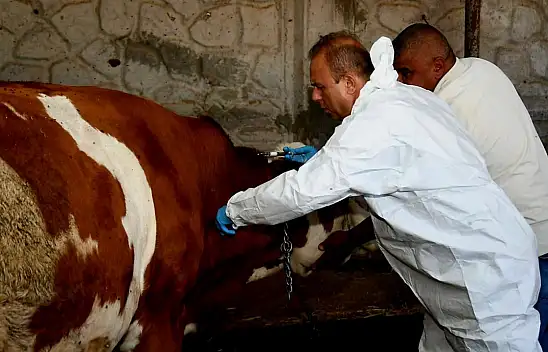 Müdür aşı yaptı