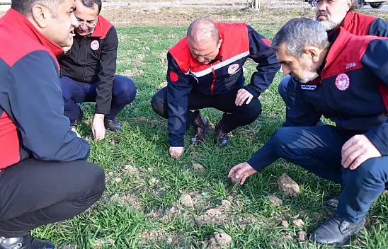 Müdür tek tek inceledi! Bir sorun mu var?