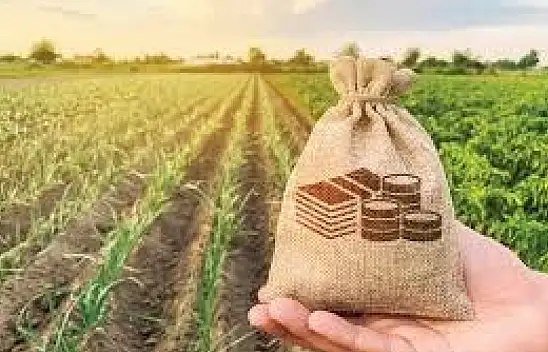 Müdürlükten müjde: Kayserili üreticilere 8.9 milyonluk destek