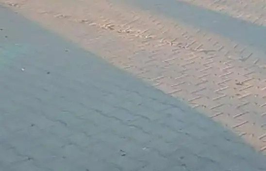 Kardeş kardeşi öldürdü!