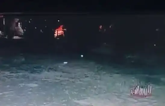 O ilçede kene ve yılanın ardından şimdi de kurt paniği