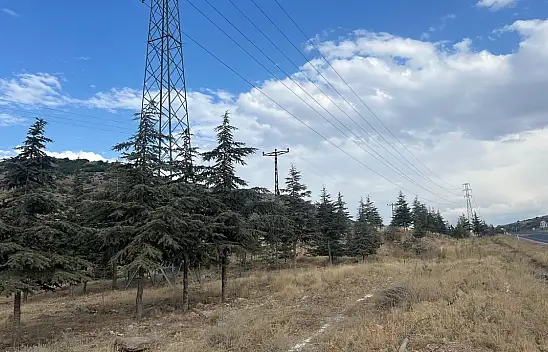 O ilçeye yeni mezarlık yapılacak