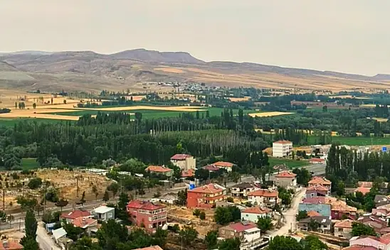 Pınarbaşı'da yetişen 6 otla ilgili iddia! İncelemeye alındı