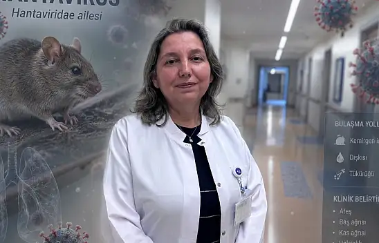 Prof. Dr. Yasemin Ersoy'dan hantavirüs uyarısı!