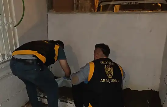 Saksıdan çıkanları görünce şok olacaksınız!