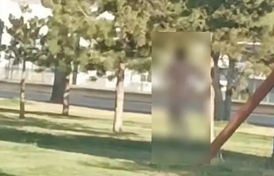 Şaşırtan olay: Parkta çıplak gezen şahıs yakalandı!