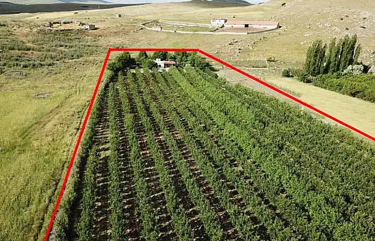 Satışa çıkarıldı! Kayseri'deki o bahçe satılıyor! İşte istenen para