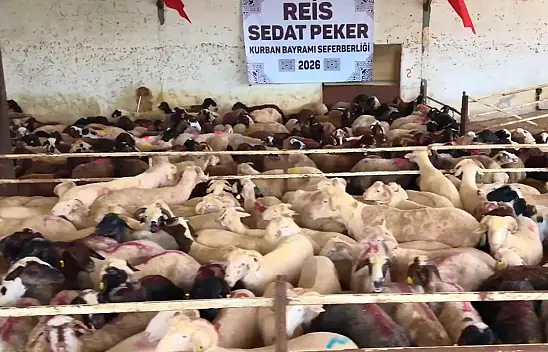 Sedat Peker'den Kayseri'ye kurban yardımı