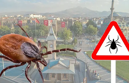 Şimdiden 5 can aldı: İşte keneyi çoğaltan faktörler...