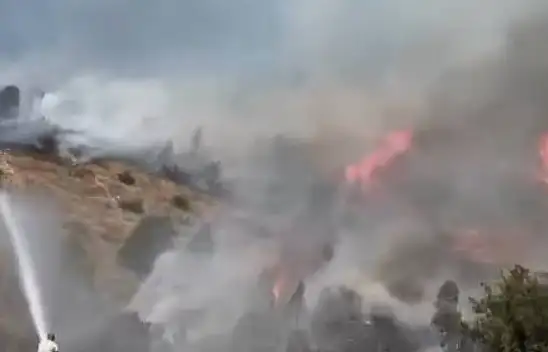 Sivas'ta ağaçlık alanda yangın çıktı