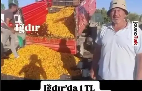 Sosyal medyadaki '1 TL'lik kayısı' iddiasına milyonluk ceza!