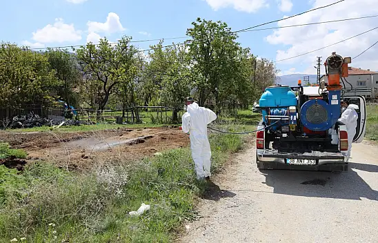Sulak bölgelerden dere yataklarına! Kayseri'de belediyenin larva alarmı