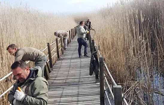 Sultan Sazlığı'nda ne yapılıyor?