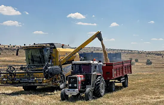 Talas Belediyesi ekti, biçti, kendi hizmetinde kullandı: 8 dekardan 2,7 ton ürün çıktı!