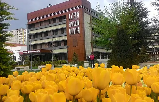 Tam 8 saat sürecek! Kayseri'de dananın kuyruğu yarın kopacak