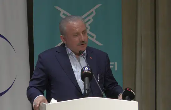 'Tarihimizdeki siyasetçiler bir tarafa, Necmettin Erbakan başka bir tarafa'