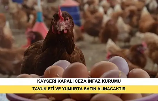 Tavuk Eti ve Yumurta Satın Alınacaktır