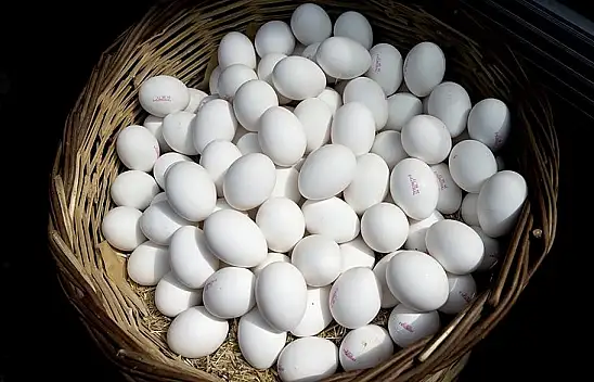 Tüketicinin gözü raflarda, haziran ayını nasıl kapatıyor?