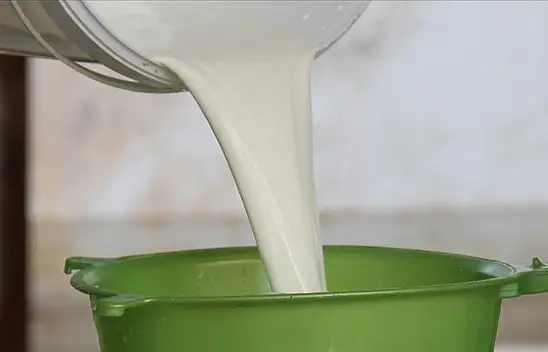 Türkiye'de süt üretimi Eylül'de bakın ne kadar arttı