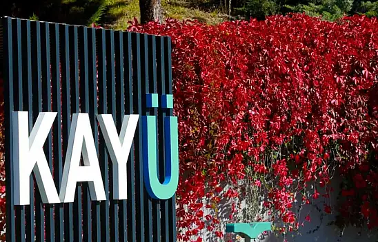 Türkiye'nin konuştuğu 6 milyonluk odanın perde arkasında ne var?